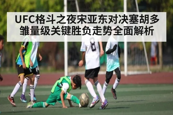 UFC格斗之夜宋亚东对决塞胡多雏量级关键胜负走势全面解析 | www.c7c7.app